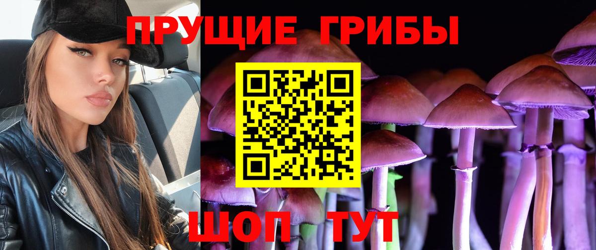 Галлюциногенные грибы прущие грибы  Вход с VPN  Омск  купить   Галлюциногенные грибы Cubensis 