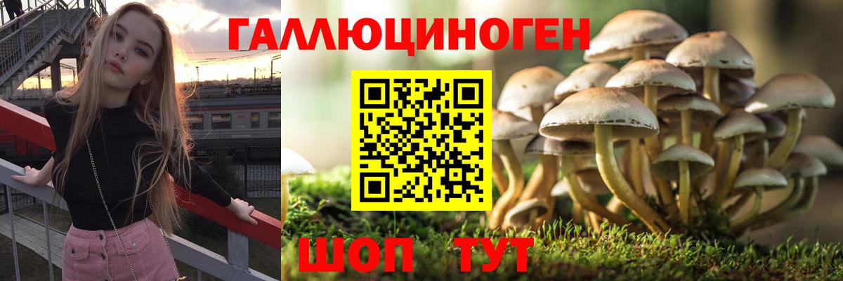 Псилоцибиновые грибы мухоморы Омск